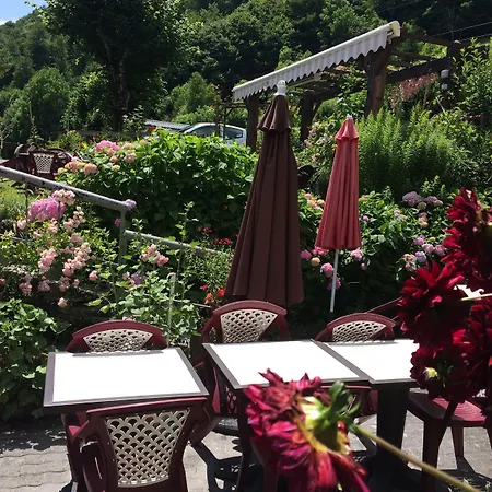 Des Pyrénées Mini-hôtel